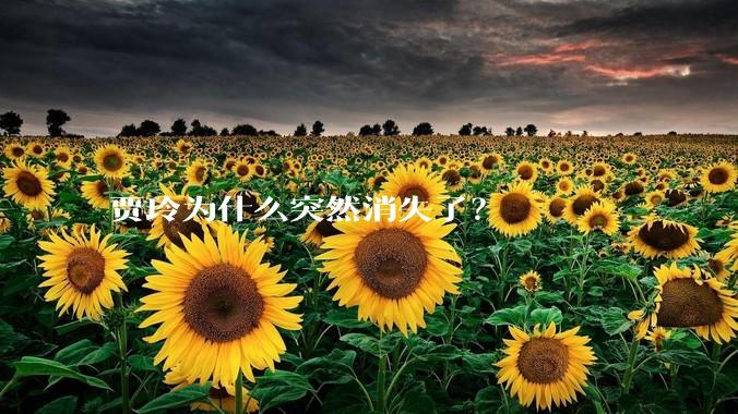 贾玲为什么突然消失了？